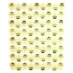 Dunlop Plectrums Ultex 0,73