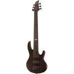 ESP LTD D-6 Natural Satin