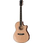 Larrivee LSV-11E