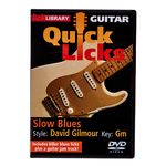 Music Sales Quick Licks David Gilmour(DVD)
