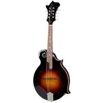 Gibson F-5G