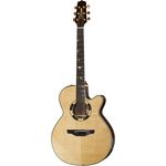 Takamine TSF48C