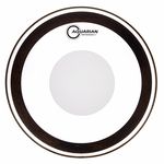 Aquarian PFPD16 Performance II ClearDot