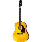 Epiphone 1964 Texan AN
