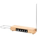 Moog Etherwave Theremin Plus