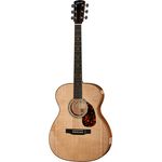 Larrivee OM-05E