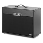 Jet City Amplification 24S+