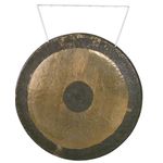 Asian Sound Tamtam T-20 P