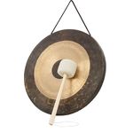 Asian Sound Tamtam T-45 P
