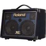Roland KC-110