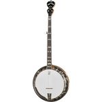 Deering C-5 Calico
