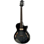 Crafter SAT-TMBK Slim Arched
