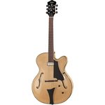 Höfner HCT-SL-N-0 Blue Tone Archtop