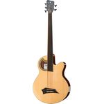 Warwick Alien Deluxe 5 FL