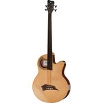 Warwick Alien Deluxe FL