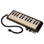 Hammond Melodion Bass B-24H