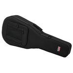 Gator Foam Case Classic