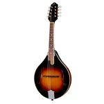 The Loar LM-220-VS