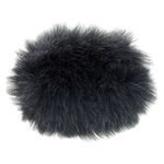 Rycote Wind Screen for Tascam DR-100