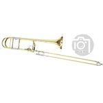 Edwards T-350 E 321CF22G/T-STD-AN