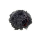 Schoeps W 20 RI