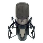 Shure KSM42 SG
