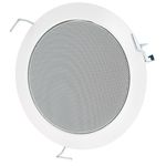 Visaton DL 13/2T