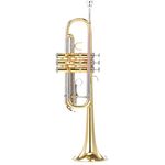 Thomann TR-600 M C-Trumpet