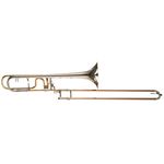 Michael Rath R4F Tenor Rotax