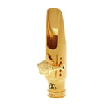 Theo Wanne Durga III Tenor 8 Gold