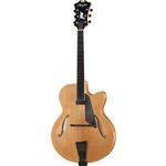Peerless Guitars Manhattan NA