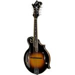 The Loar LM-500-VS