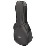 Reunion Blues Continental Mandolin BK