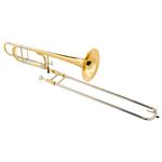 Carol Brass CTB-6229-YSS-YNNN-N3