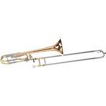 Carol Brass CTB-6219-GSS-YNNN-N3