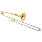 Carol Brass CTB-2207-YSS-YNNN-Y3