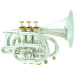 Carol Brass CPT-3000-GLS-Bb-SG