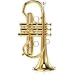 Carol Brass CCR-7775-YSS-Eb-L