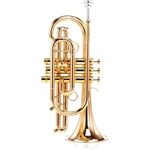 Carol Brass CCR-8880-GSS-Bb-L