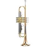 Carol Brass CTR-3250H-GSS-Bb-L