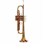 Carol Brass CTR-4440L-PSM-Bb-AL
