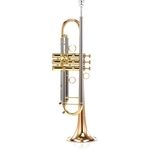 Carol Brass CTR-6580H-GSS-Bb-L