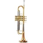 Carol Brass CTR-5200L-RSM-Bb-L
