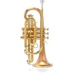 Carol Brass CCR-3880-GSS-Bb-SLB