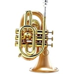 Carol Brass CPT-3000-GLS-Bb-SLB