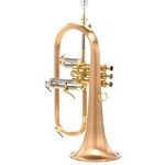 Carol Brass CFL-6200-GSS-Bb-SLB