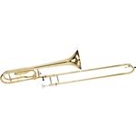 Carol Brass CTB-3019-YSS-YYNY-Y1