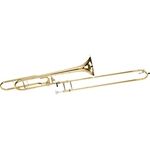 Carol Brass CTB-3029-YSS-YYNY-Y1