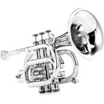 Carol Brass CPT-3000-GLS-Bb-S