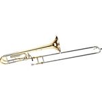 Carol Brass CTB-6219-YSS-YNNN-N3